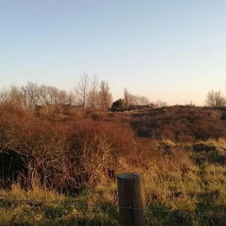 Lovely N° 9 Op Ieder Moment Prachtig Zeezicht & Zwembad Appartamento Middelkerke